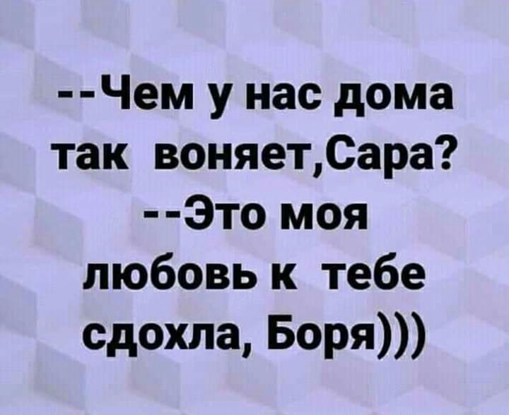 Чем у нас дома так воняетСара Это моя любовь к тебе сдохла Боря
