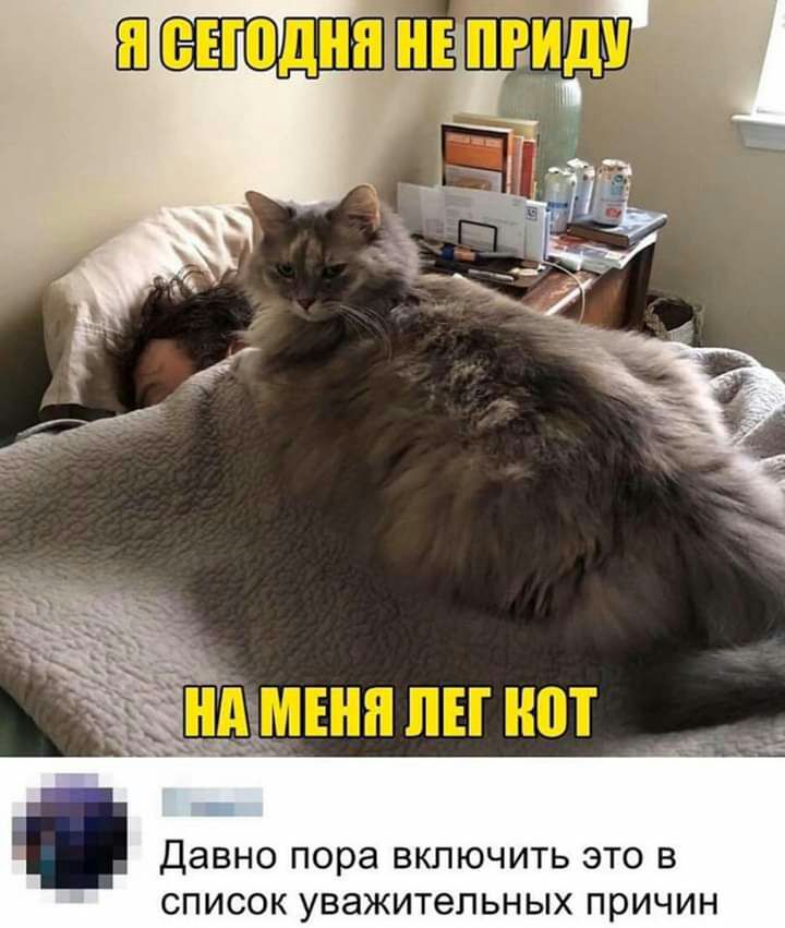 Давно пора ВКПЮЧИТЬ ЭТО В СПИСОК уважительных причин
