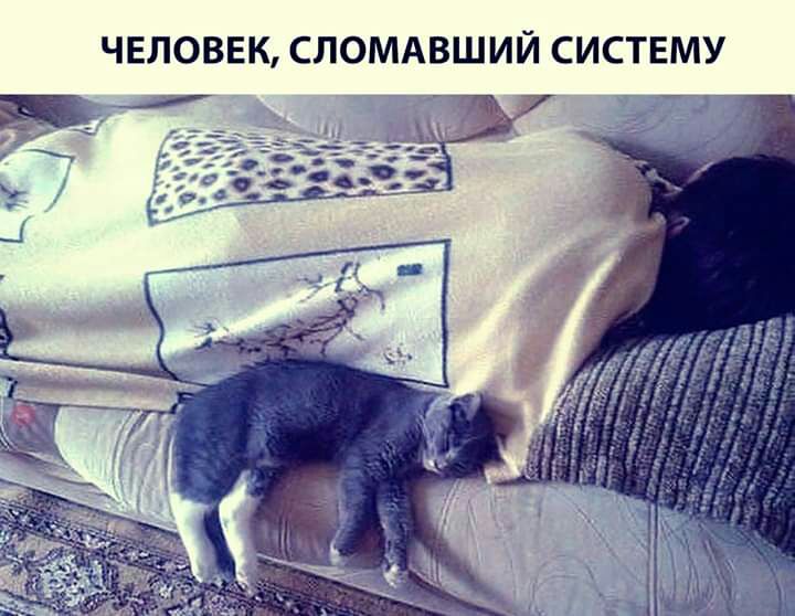 ЧЕЛОВЕК СЛОМАВШИЙ СИСТЕМУ _