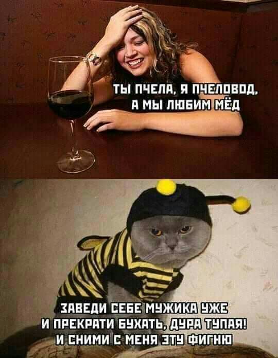 ТЫ ПЧЕЛП ППЧЕШВПД МЫ ЛЪПЕИМіМЁ д