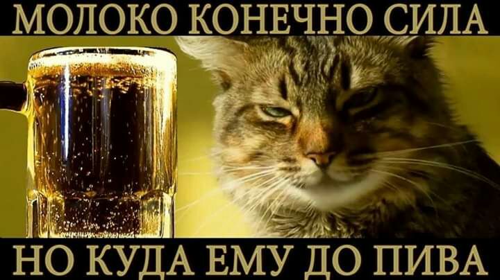 МОЛОКО КОНЕЧНОДЩЛА но КУДА ЕМУ ЁЁ ПИВА