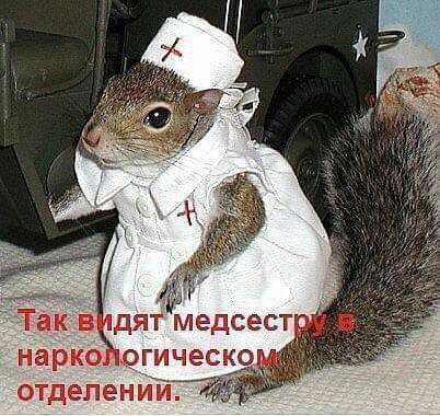 нарко отделений