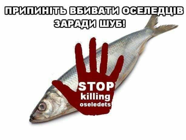 припинпть ввивдти осЕЛЕдцпв ЗАРАдИ Кііп9 озеіенеш
