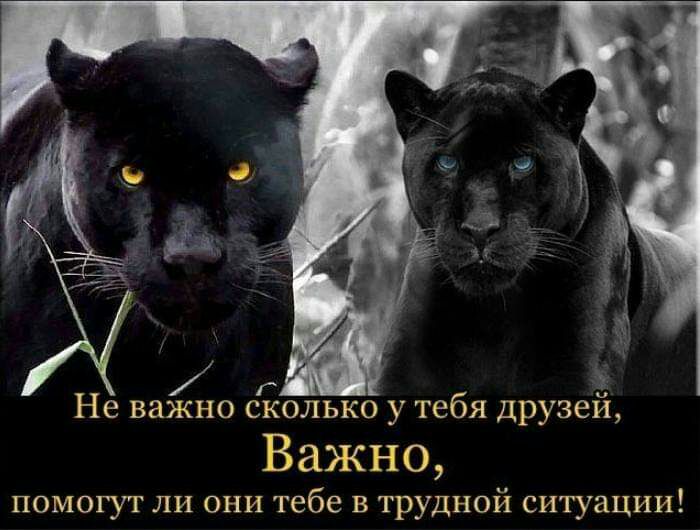 г Не важно сколько у тебя друзей Важно помогут ли они тебе в трудной ситуации