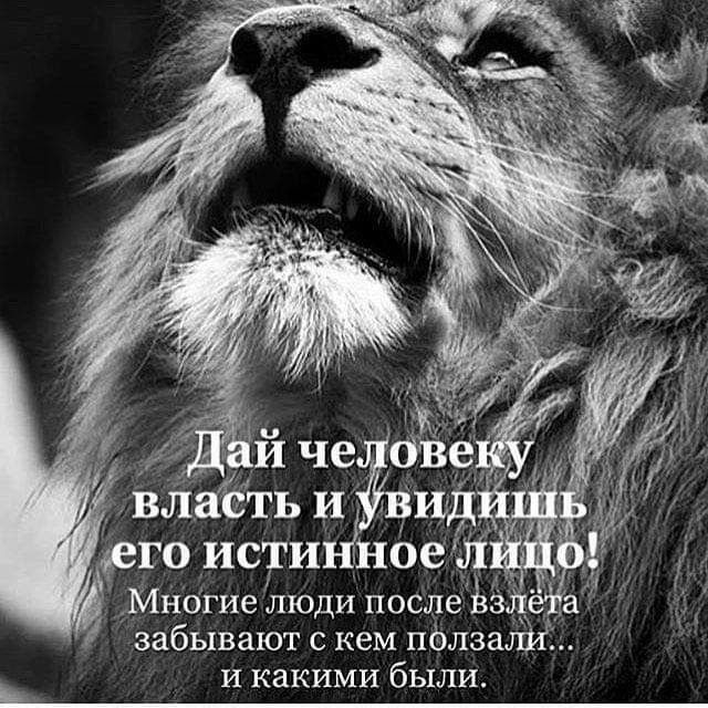 дего исти Ноеаіі 51 Мнбгие люди послеЁзЦ _ _а забывают с кем пёлзаШЁь и какими были