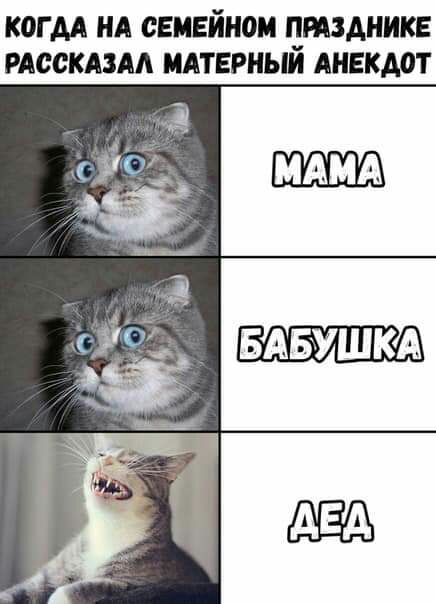 КОГ АА НА СЕМЕЙНОМ ЧЮАНИКЕ РАОСКАЗМ МАТЕРНЫИ АНЕКДОТ