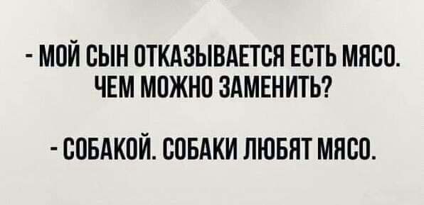 МОЙ СЫН ОТКАЗЫВАЕТВЯ ЕСТЬ МЯСО ЧЕМ МПЖНП ЗАМЕНИТЬ СПБАКОЙ СОБАКИ ЛЮБЯТ МЯСО