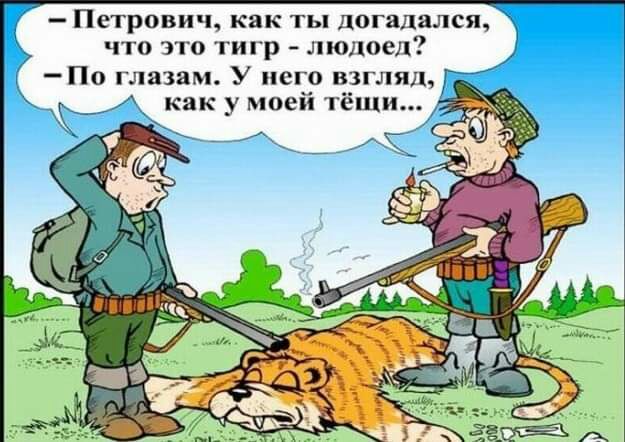 Петрович как ТЫ догадался что это тигр людоед По глазам У него взгляд как у моей тёщи _ ___ 7 К і