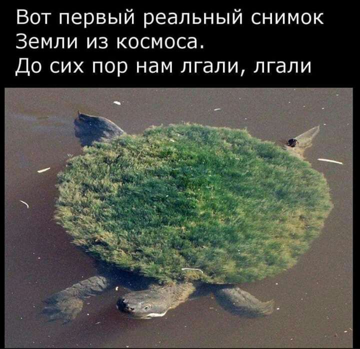 Вот первый реальный снимок Земли из космоса До сих пор нам лгали лгали