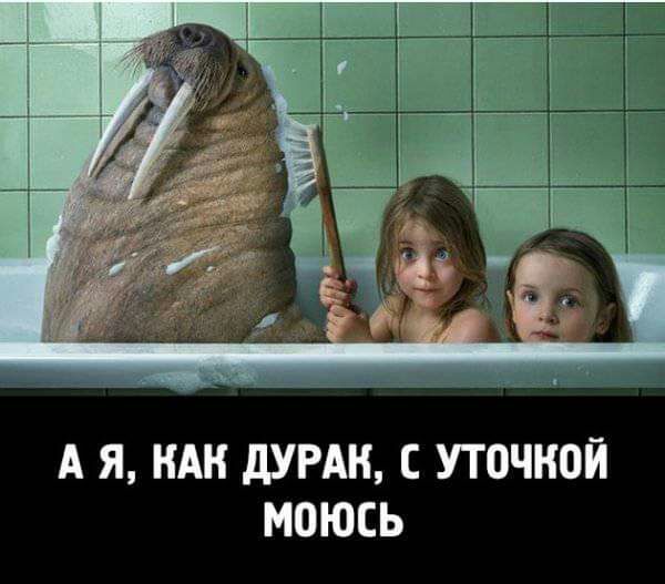 А Я А дУРАН С УТОЧЕЮЙ МОЮСЬ