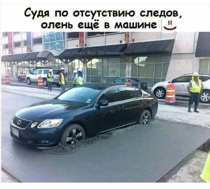 Судя по отсутствию следов олень ещё в машине