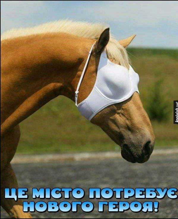 цв шото потрввуе нового герои