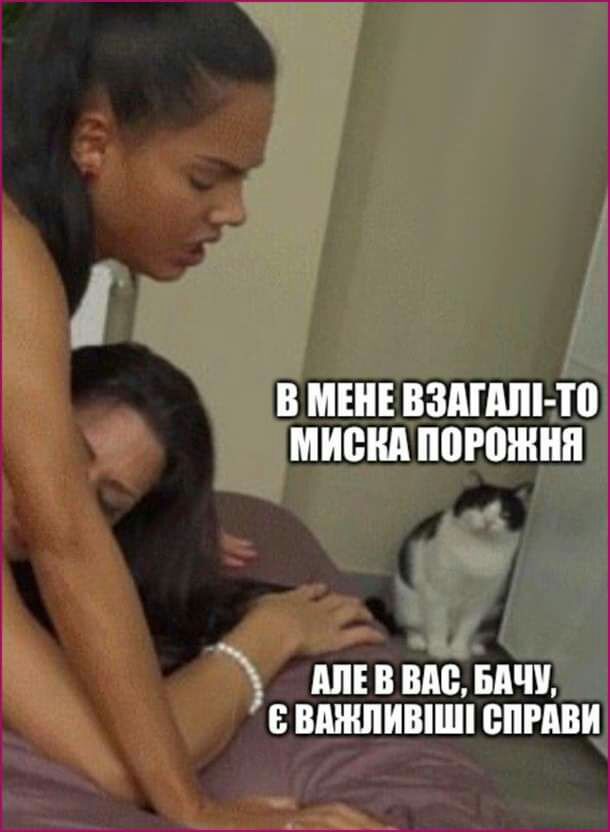 В МЕНЕ ВЗАШШ Ш МИШШ ППРЕШНП днів вис Бпчи вмипивпшп епгдви