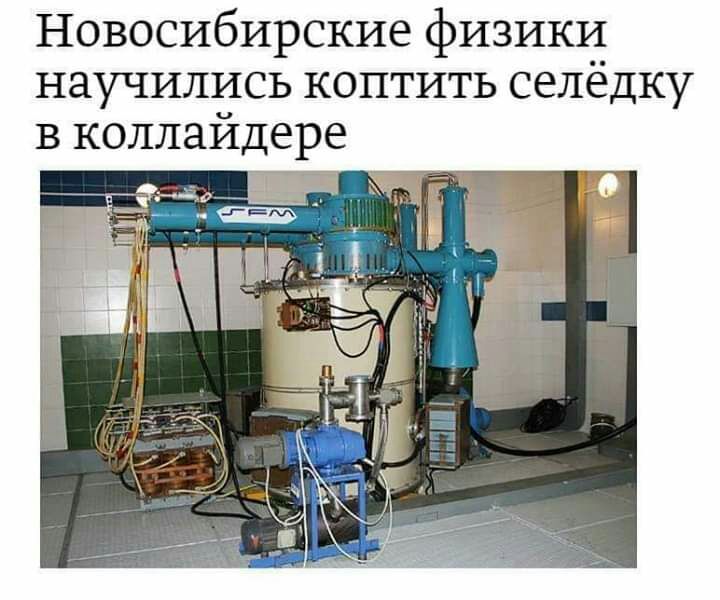Новосибирские физики научились коптить селедку в коллайдере
