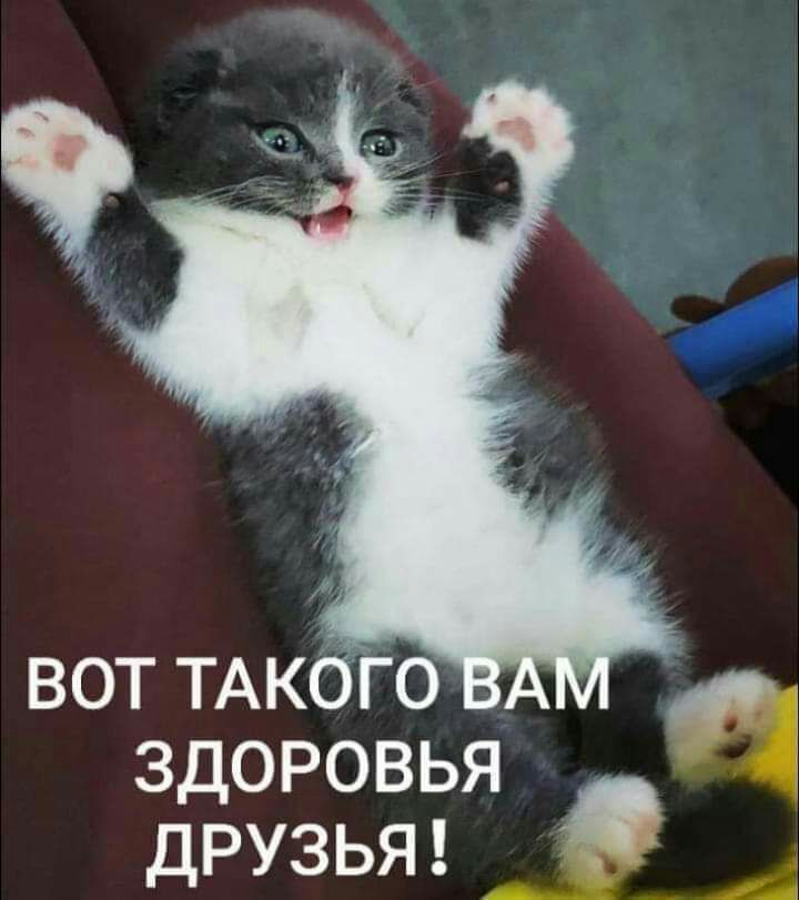 вот ТАкбго здоровья ДРУЗЬЯ