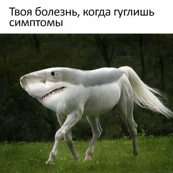 ТВОЯ бОЛЕЗНЬ КОГДЭ ГУГЛИШЬ СИМПТОМЫ