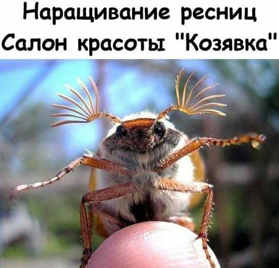 Наращивание ресниц Салон красоты Козявка