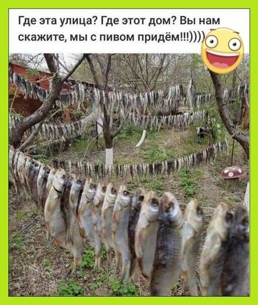 Где эта улица Где этот дом Вы нам 7 11 ЧЧП 1