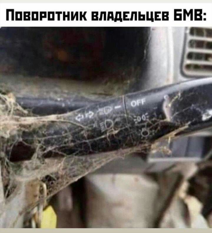 Ппвппптник влддвльцвв БМВ