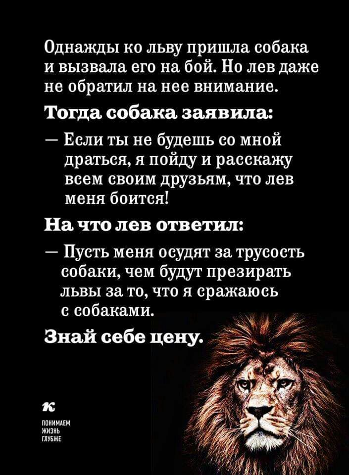 Однажды ко льву пришла собака и вызвала его на бой Но лев даже не обратил на нее внимание Тогда собака заявила Если ты не будешь со мной драться я пойду и расскажу всем своим друзьям что лев меня боится На что лев ответил Пусть меня осудят за трусость собаки чем будут презирать львы за то что я сражаюсь с собаками иж Знай себе цену 5 ппииидш жизнь твик