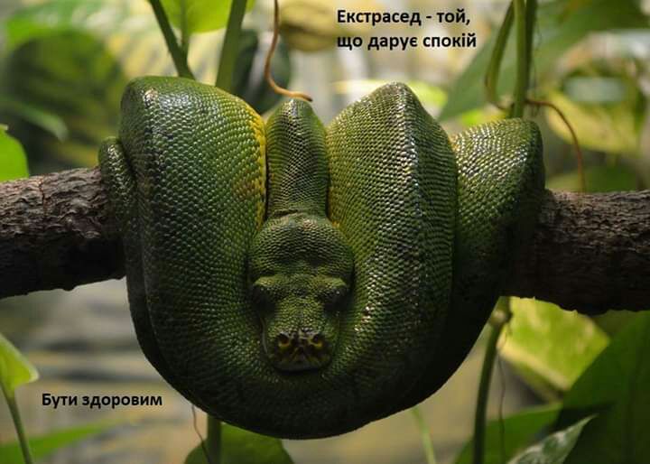 _ Бути здаровим
