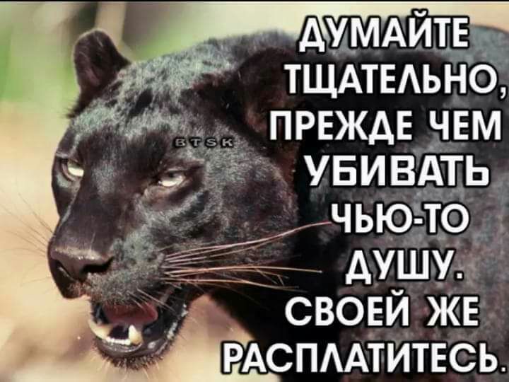АУМАЙТЕТдг ТЩАТЕАЬНО ПРЕЖДЕ _чвм