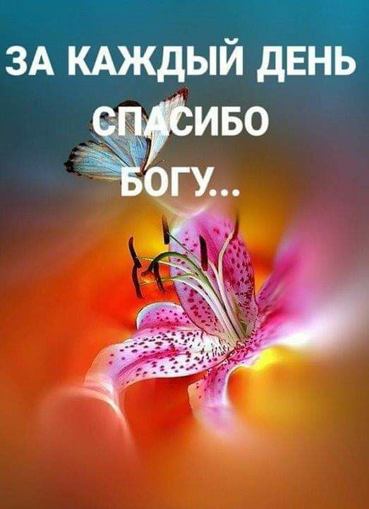ЗА КАЖДЫЙ день