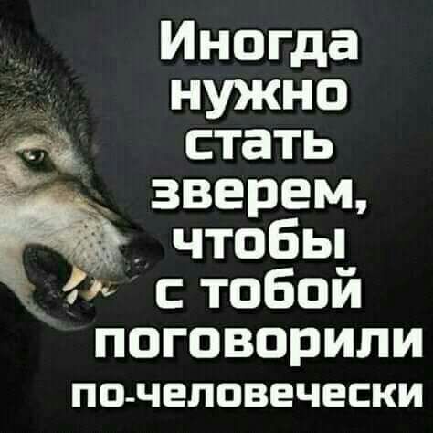 Иногда нужно стать зверем чтобы стобой поговорили ПО ЧЕЛПВЕЧЕСКИ