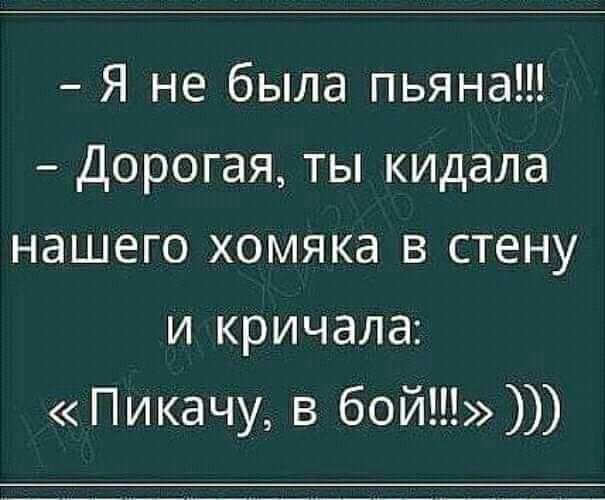 Я не была пьяна Дорогая ты кидала нашего хомяка в стену и кричала Пикачу в бой
