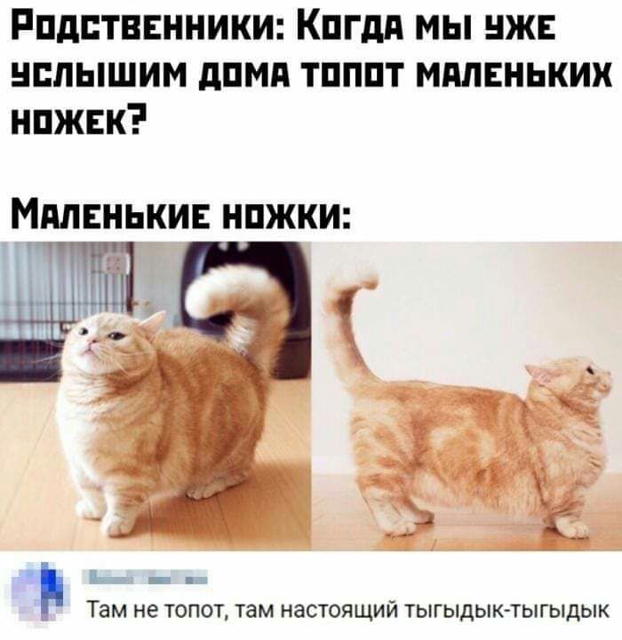 Рпдптввнники Кпгдд мы нжв нплышим дпмд тпппт ммвнькик нпжвк Мдлвнькив нпжки тііі 11 Ё и Там не ТОПОТ там НаСТОЯЩИЙ ТЫГЫДЫК ТЫГЫДЫК