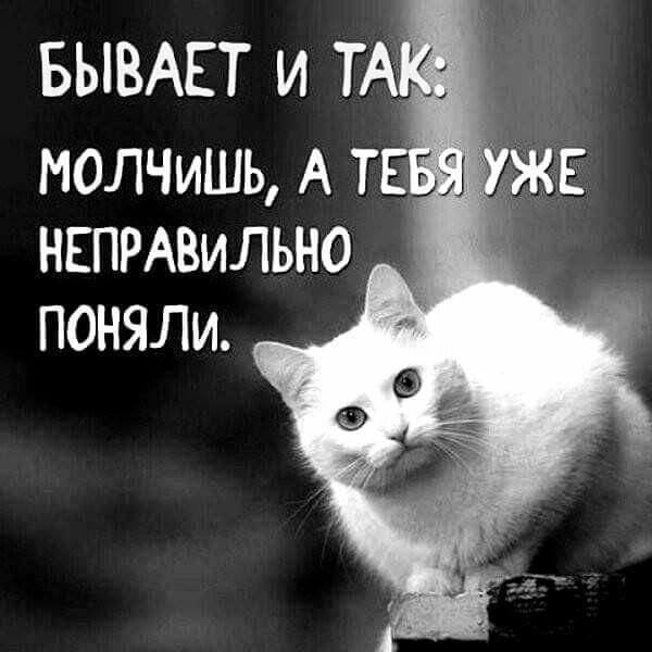 БЫВАЕТ и т МОЛЧИШЬ А т НЕПРАВИЛЬНО поняли