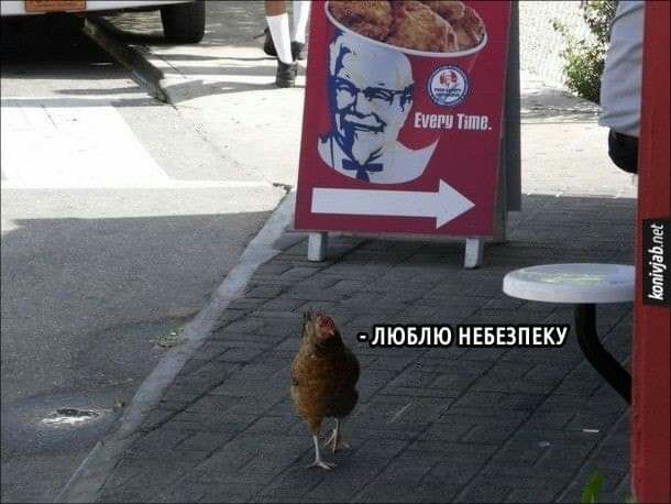 ЛЮБЛЮ НЕБЕЗПЕКУ