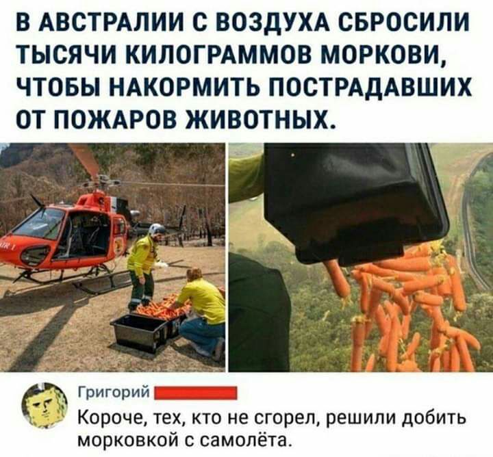 В АВСТРАЛИИ С ВОЗДУХА СБРОСИЛИ ТЫСЯЧИ КИЛОГРАММОВ МОРКОВИ ЧТОБЫ НАКОРМИТЬ ПОСТРАДАВШИХ ОТ ПОЖАРОВ ЖИВОТНЫХ Григорий _ Короче тех кто не сгорел решили добить морковкой с самолёта