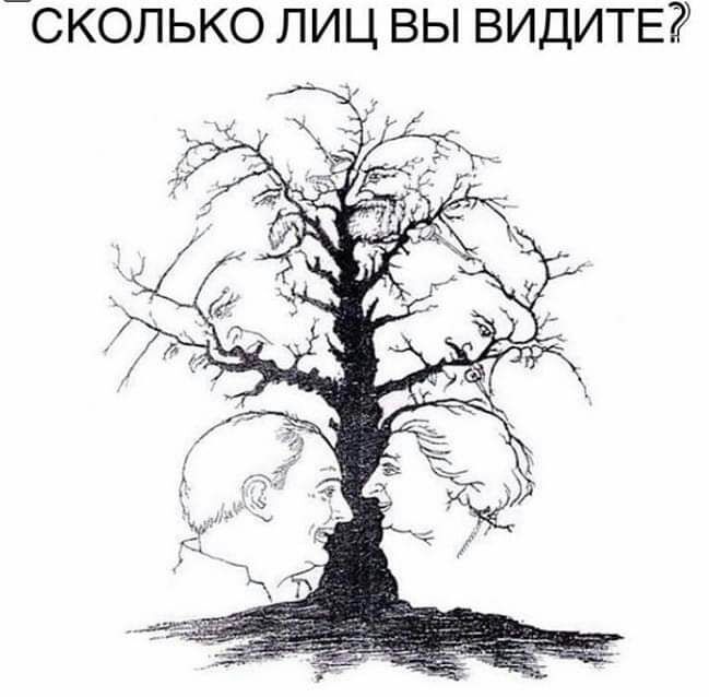 _СКОЛЬКО ЛИЦ ВЫ ВИДИТЕ