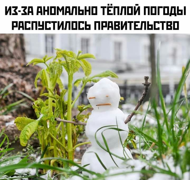 ИЗ Зд дНПМдПЬНП ТЁПЛПЙ ППГПДЫ РдЕПНЕТИЛПЕЬ ПРПБИТЕПЬЕТВП