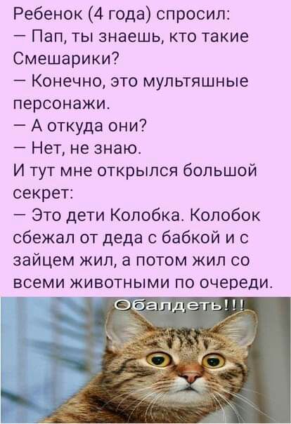Ребенок 4 года спросил Пап ты знаешь кто такие Смешарики Конечно это мультяшные персонажи А откуда они Нет не знаю И тут мне открылся большой секрет Это дети Колобка Колобок сбежал от деда с бабкой и с зайцем жил а потом жил со всеми животными по очереди а