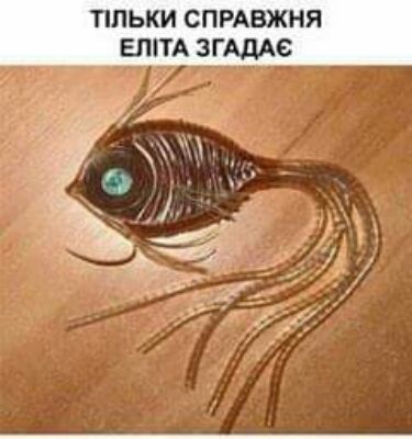 ППЬКИ СПРАВЖНЯ ЕШТА ЗГАДАС г