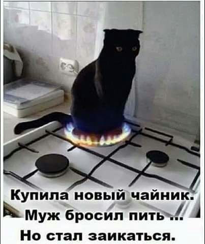 Купила новый_чайиик Муж бросил пить Но стал заикаться