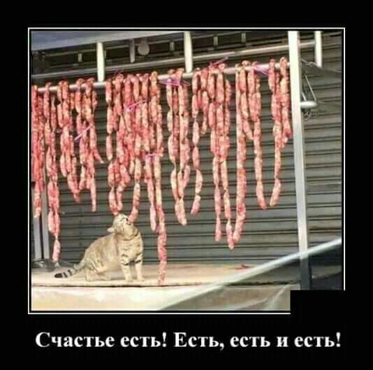 Рвцни _ ціна ЗСПд і есть и есть Счастье есть Есть