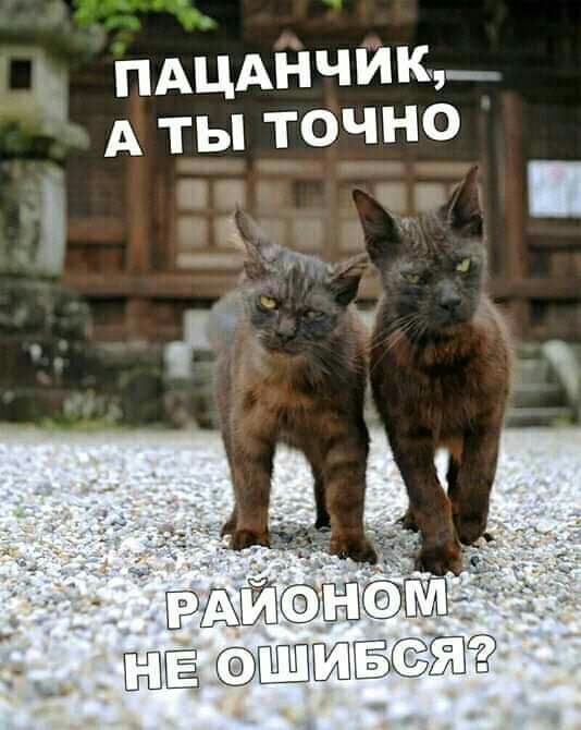 ПАЦАНЧИК А ты ТОЧНО