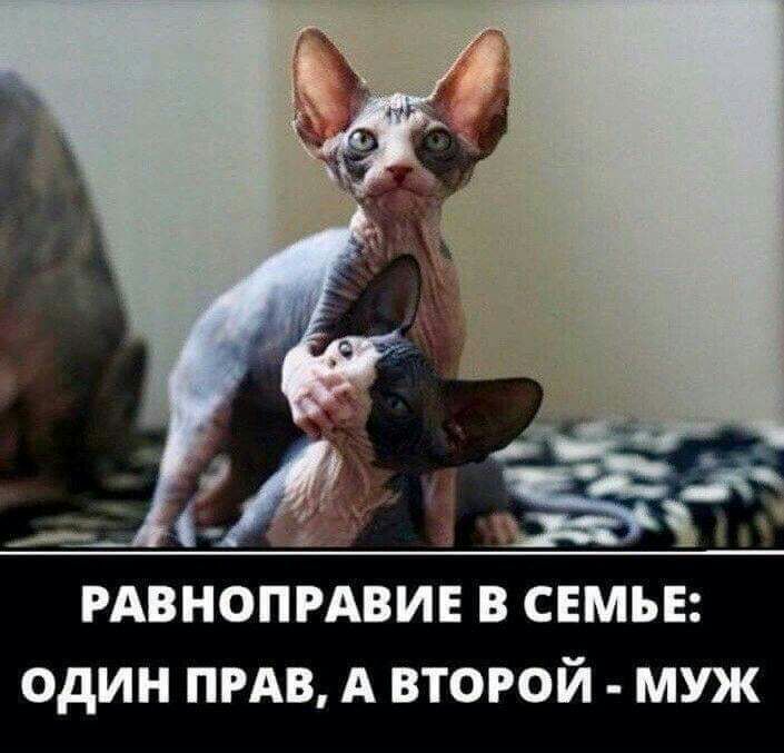 РАВНОПРАВИЕ В СЕМЬЕ ОДИН ПРАВ А ВТОРОЙ МУЖ