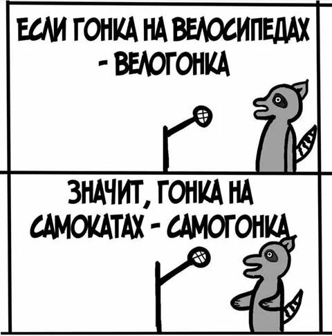 ЕСМ ГОНКА НА ВЕЮСИПЕЛАХ зндчит гониА НА сАмоиАтАх стогон