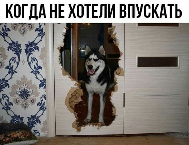 КОГДА НЕ ХОТЕЛИ ВПУСКАТЬ