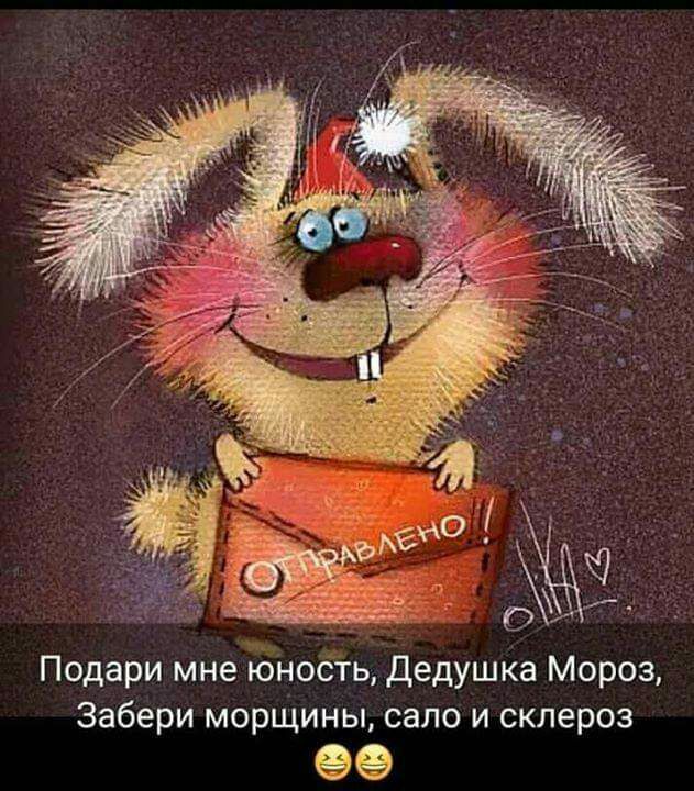 _ О Подари мне юность дедушка Мороз Забери морщины сало и склероз