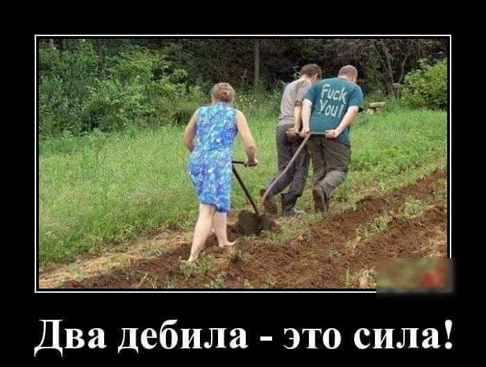 Два дебила это сила