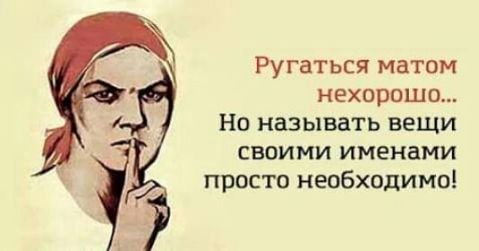 Ругаться матом нехорошо Но называть вещи своими именами просто необходимо