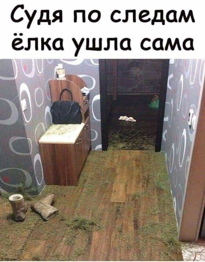 Судя по следам ёлка ушла сама чп ЦА т