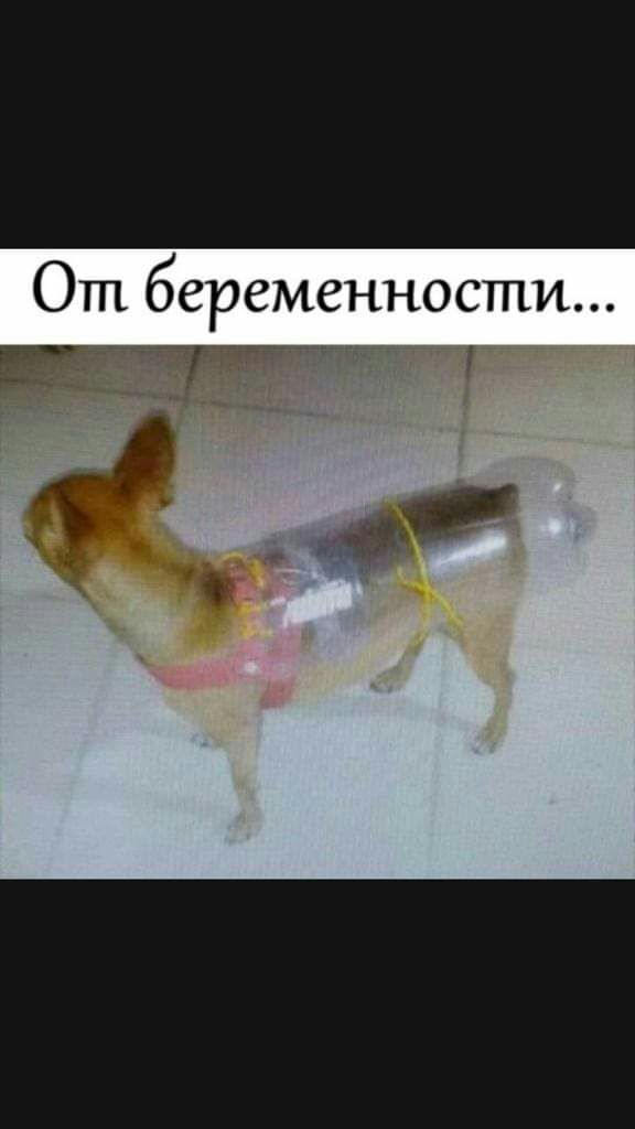 От беременности г