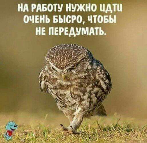 НА РАБОТУ НУЖНО НАШ ОЧЕНЬ БЫОРО ЧТОБ НЕ ПЕРЕАУМАТЪ