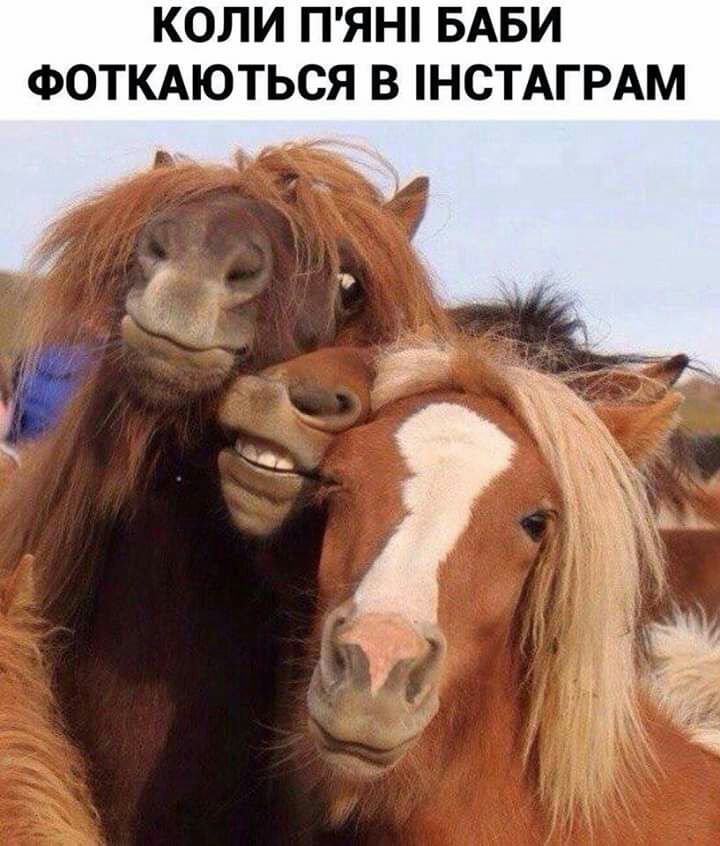 КОЛИ ПЯН БАБИ ФОТКАЮТЬСЯ В НСТАГРАМ